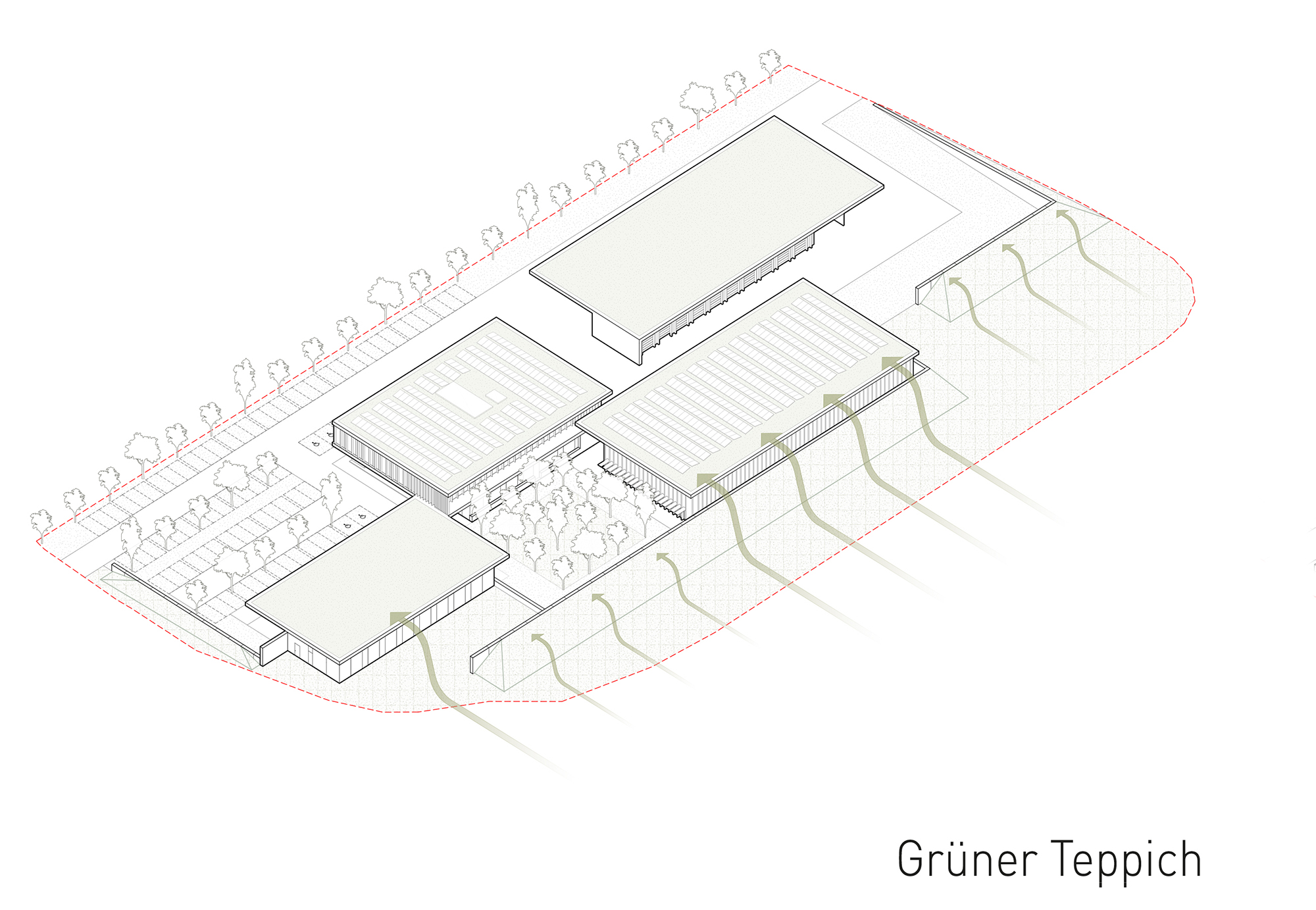 Gruener teppich web