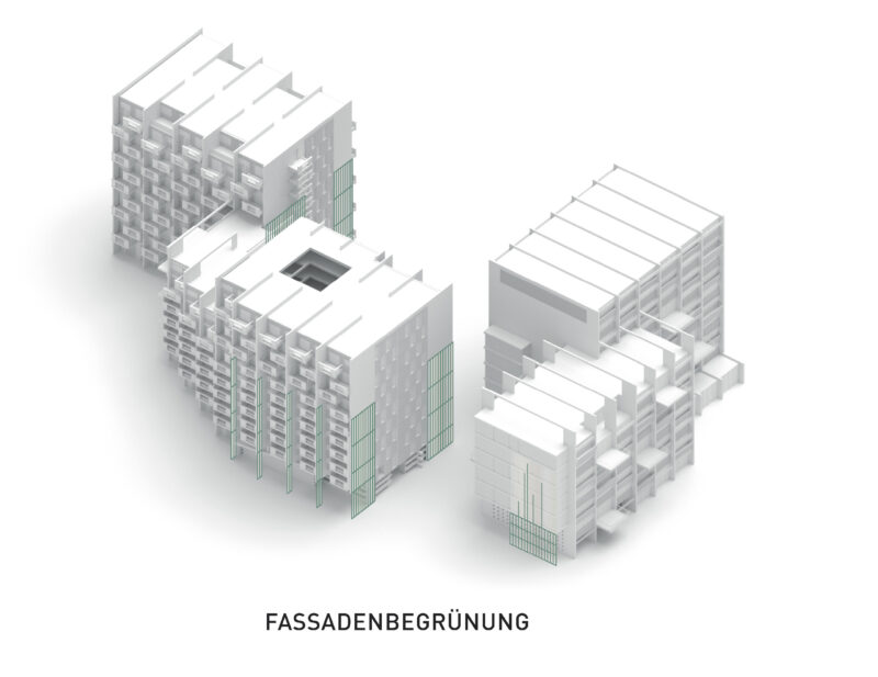Fassadenbegruenung