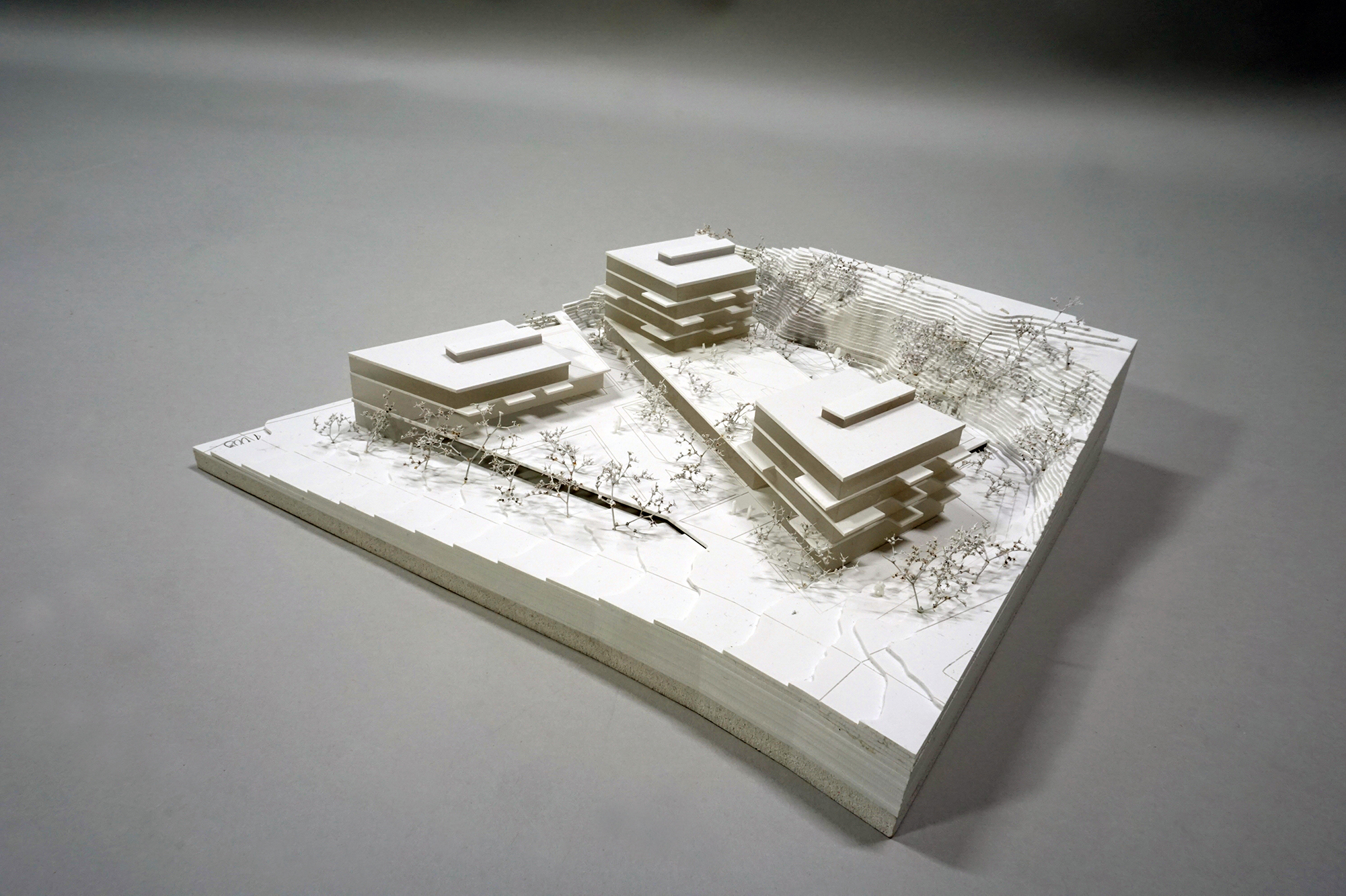 Modell DSC02878 web neu 1