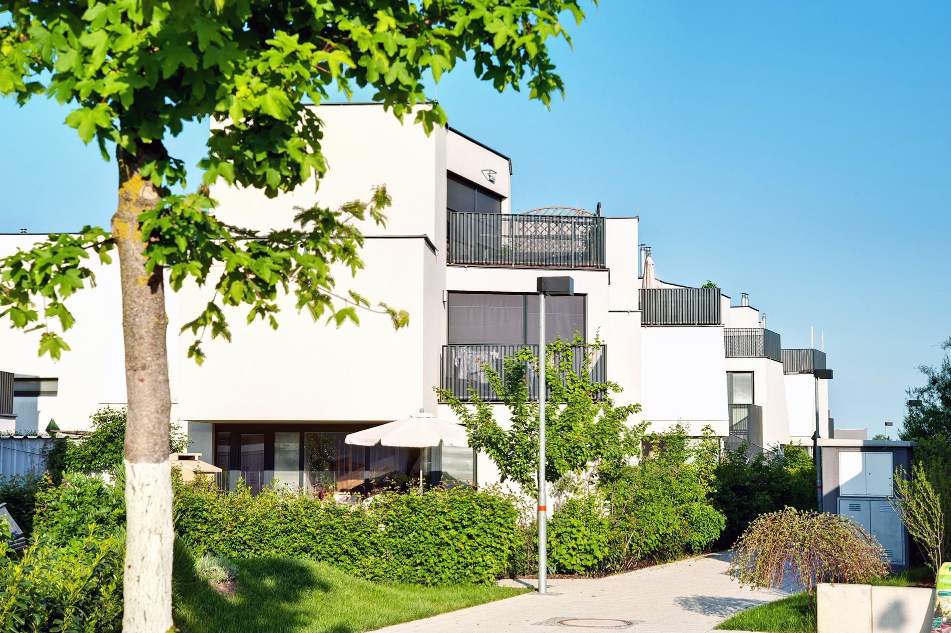 HEU 00471475f Harald A 2 web