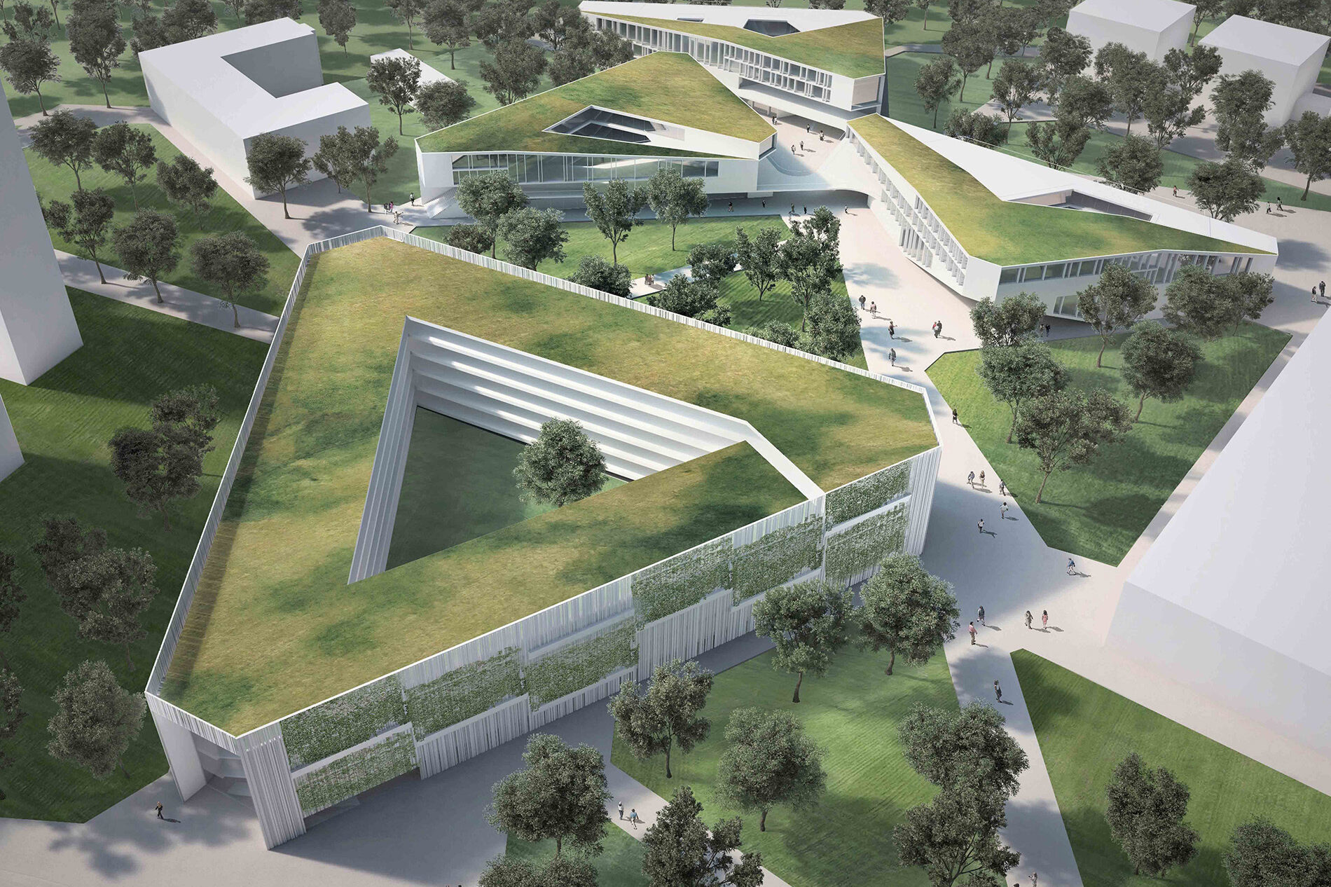 950809 Schaubild web