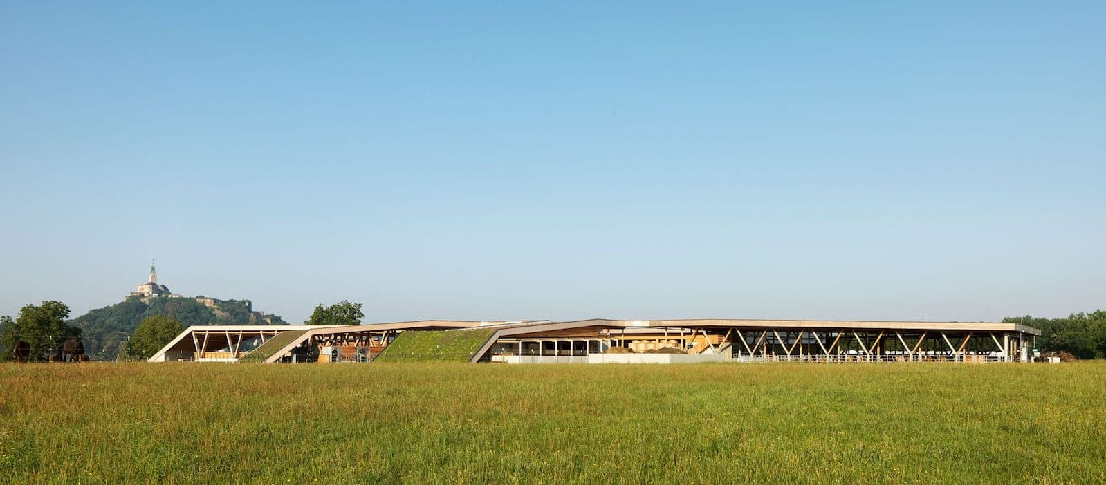 LFS guessing 01 zugeschnitten 01