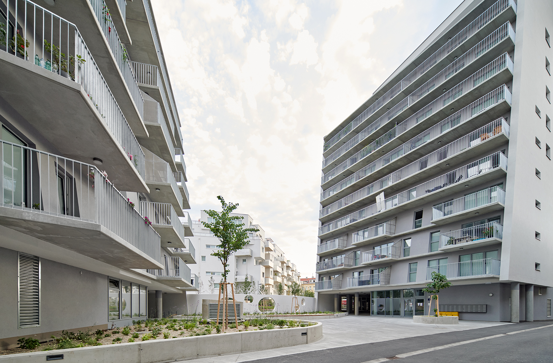 Mühlgrundgasse Foto Toni Rappersberger 20210711 12