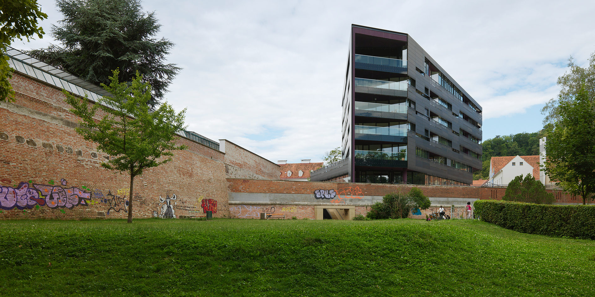 Apaul ott pfaug 54 web