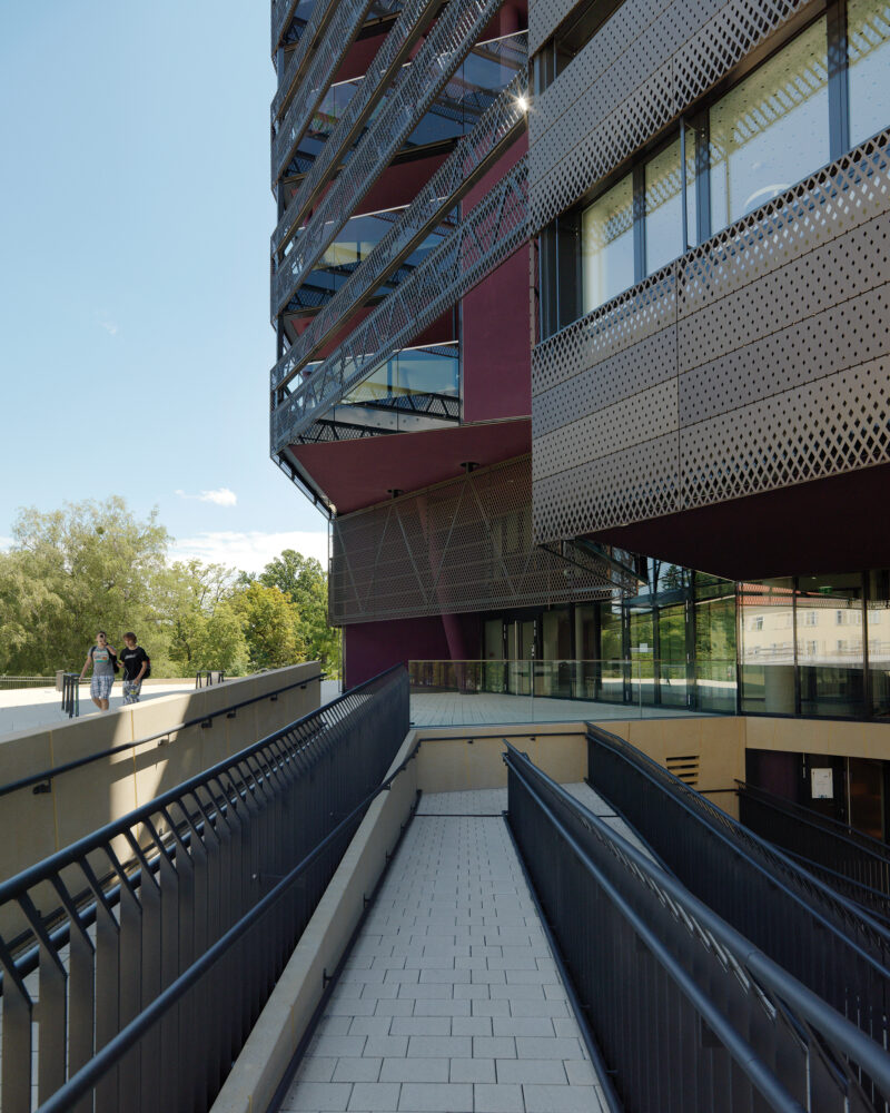 Apaul ott pfaug 07 web