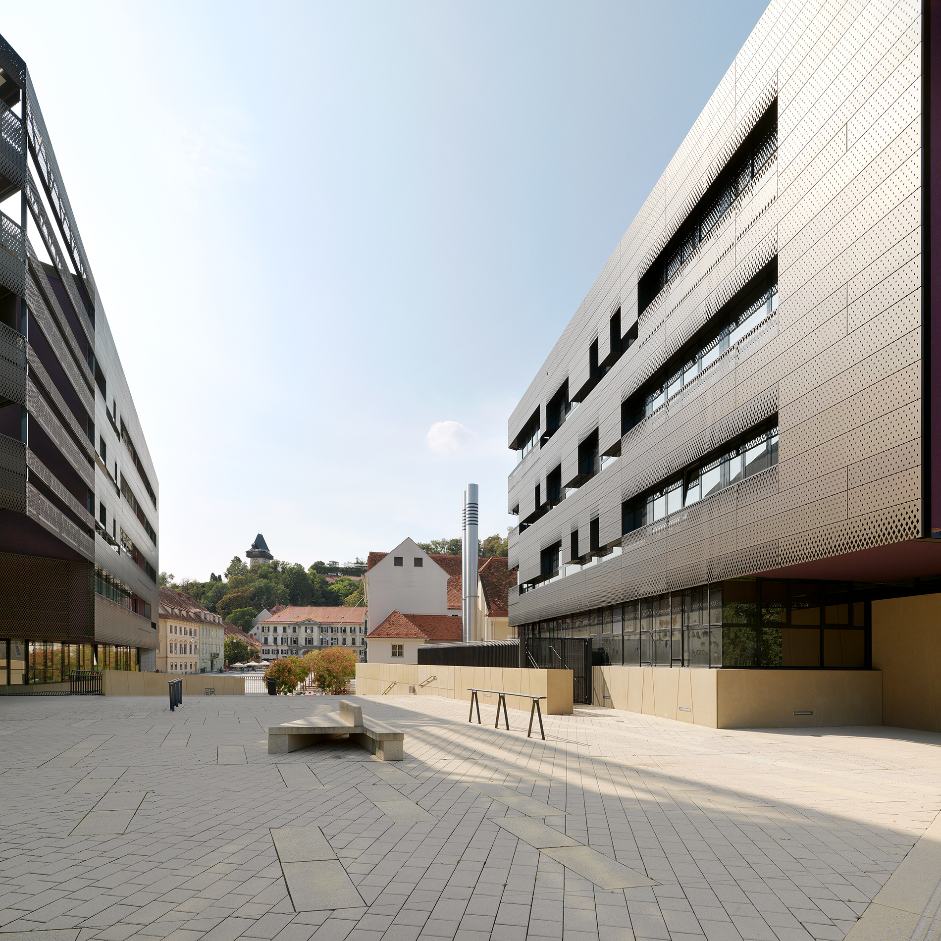 Paul ott pfaug NH 017 web