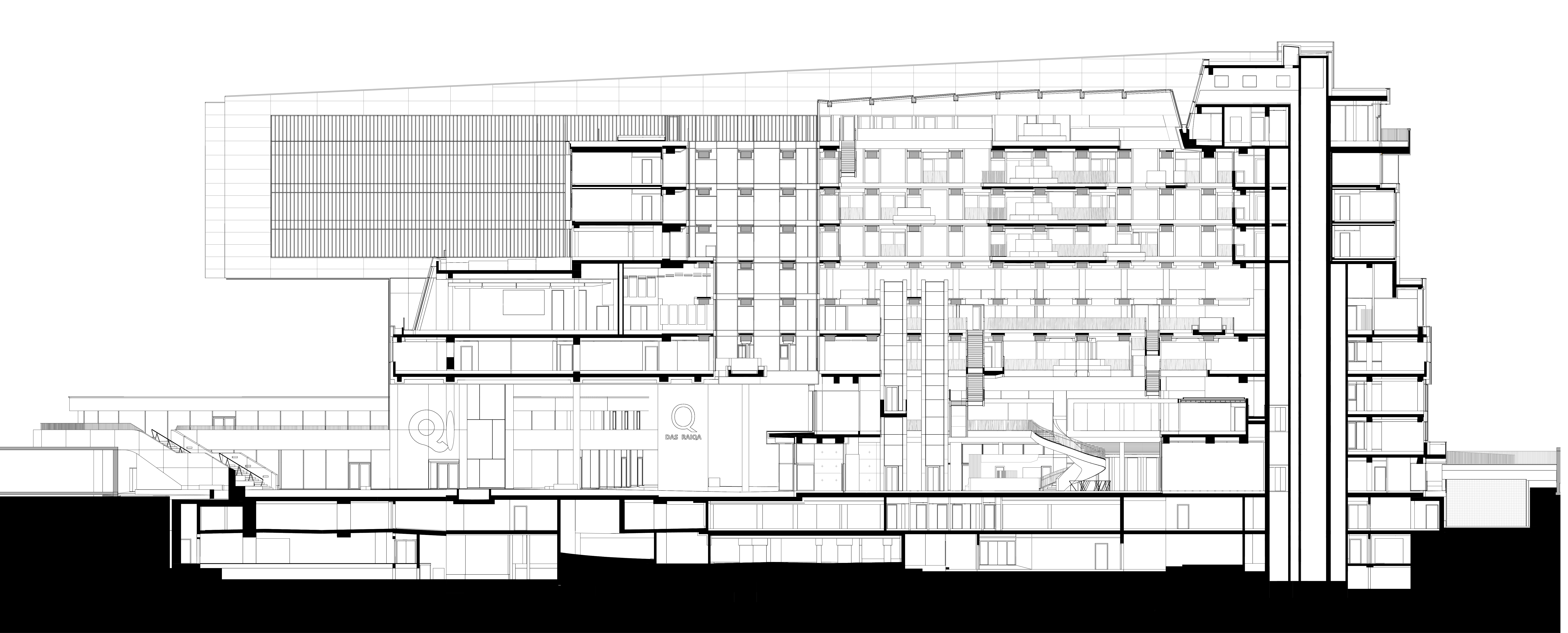 Pxt RAIQA LS A fin 200 longitudinal section