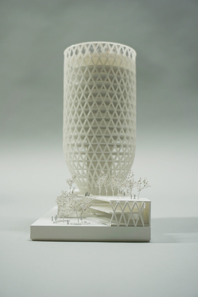 DSC02307 bearbeitet web