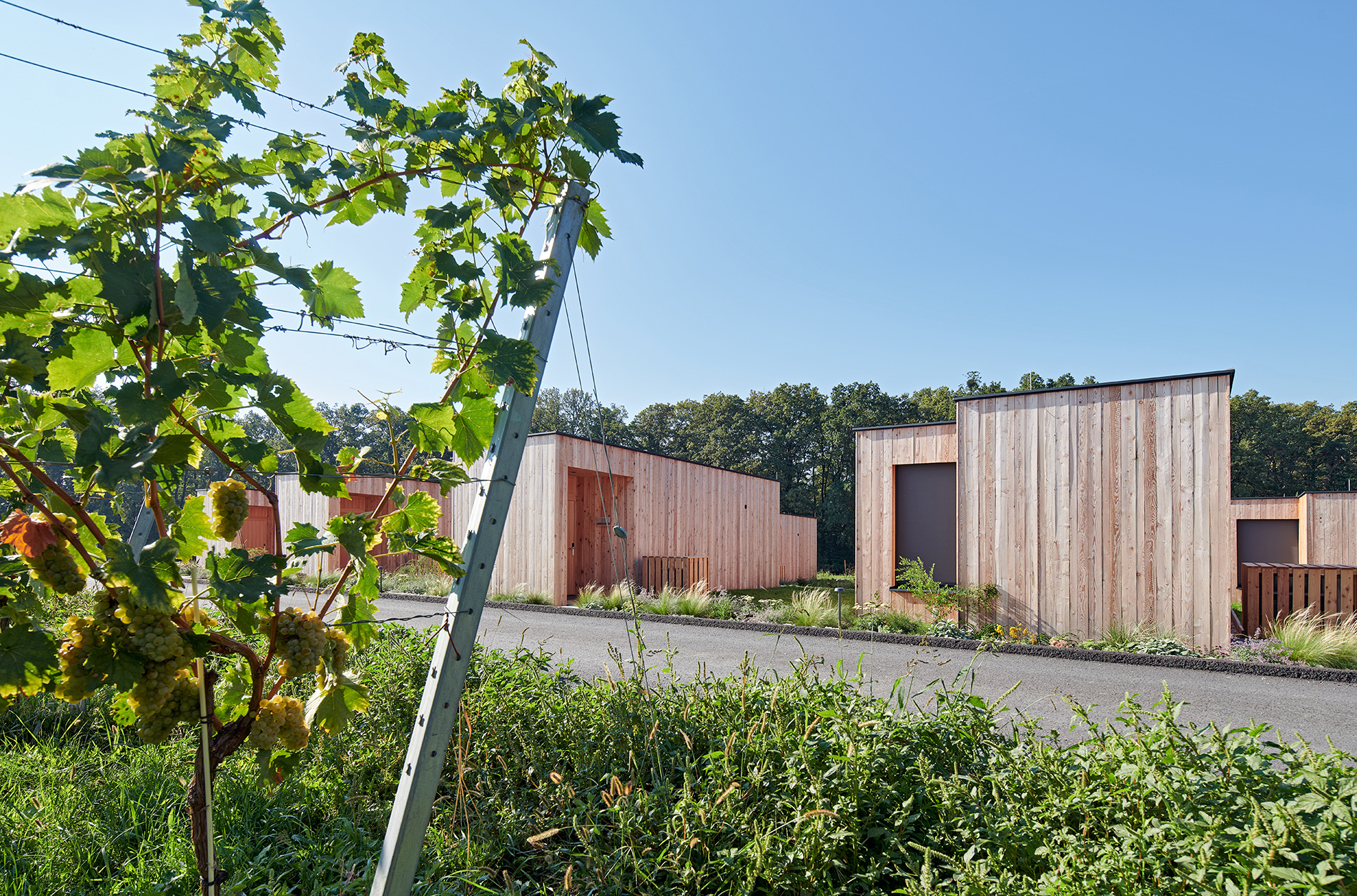 Wohnen am Ratschen II foto Toni Rappersberger 20220905 108 web