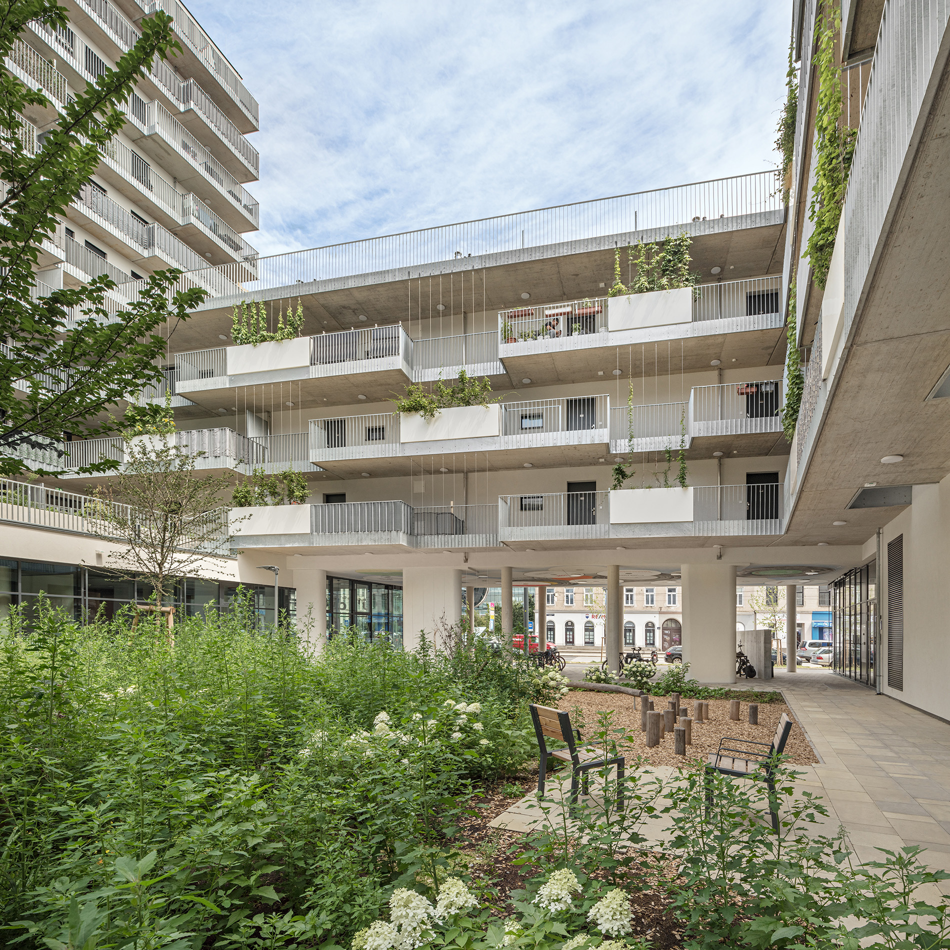 DSC7134 35 36 exp web