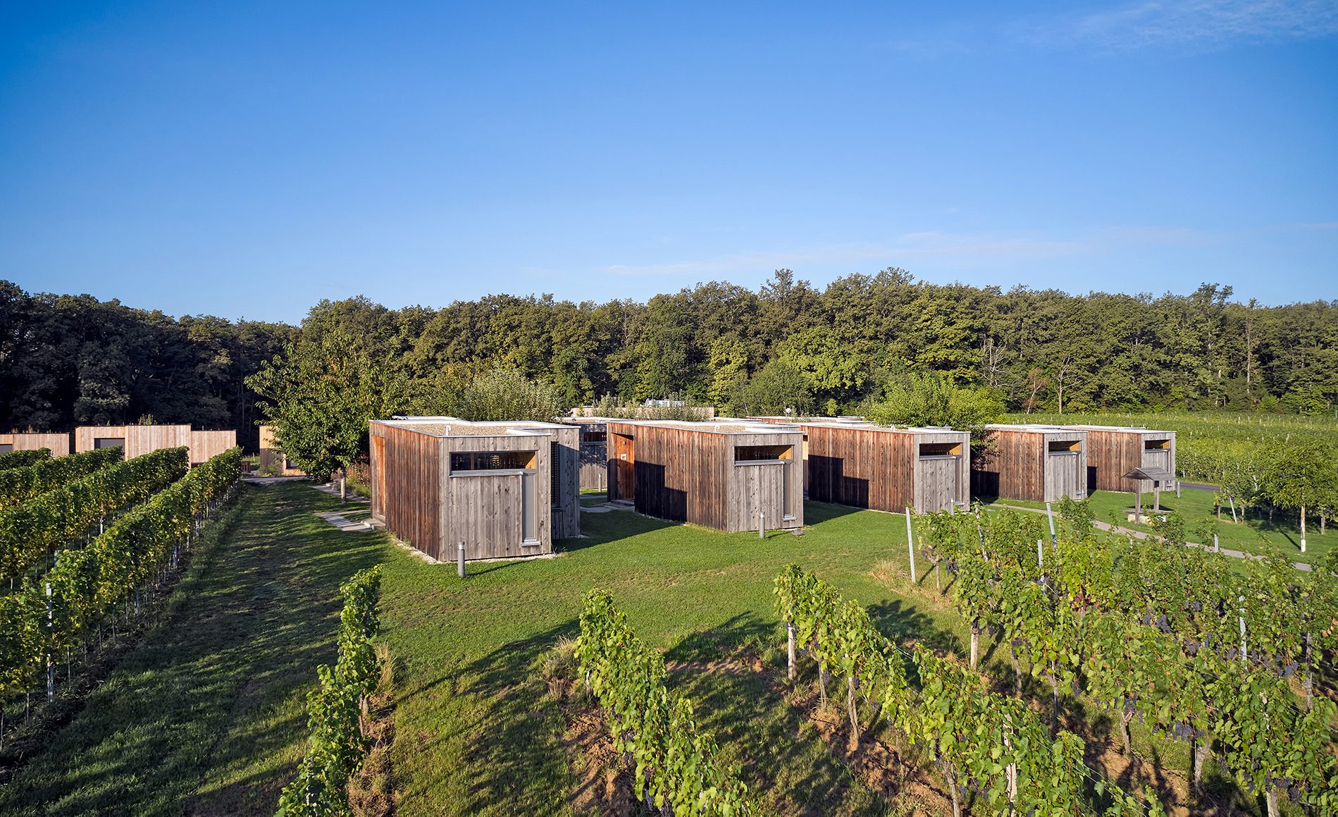 Wohnen am Ratschen II foto Toni Rappersberger 20220905 28 web